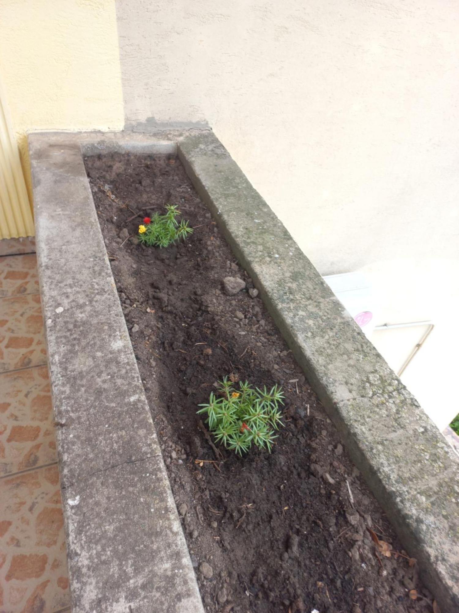 Hostel Bata Kanjiža Zewnętrze zdjęcie