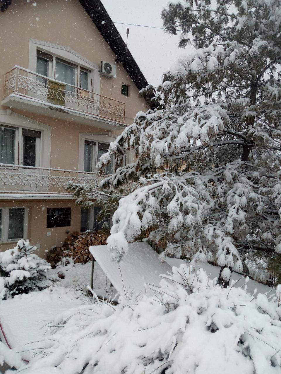 Hostel Bata Kanjiža Zewnętrze zdjęcie